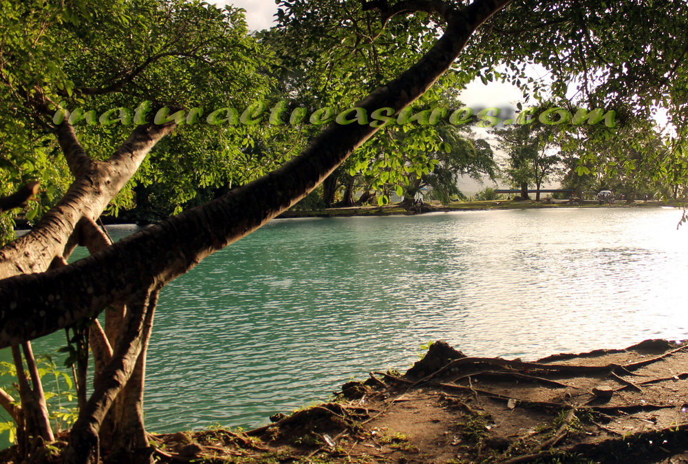 Download this Lake Danau Linting Indonesia Inaturaltreasures picture